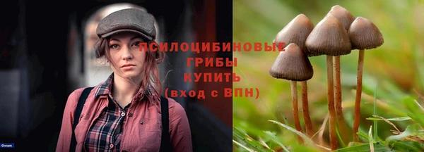 прущий лед Козельск